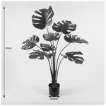 Διακοσμητικό Φυτό σε Γλάστρα Deliciosa Inart Πράσινο Φ94x120εκ