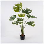 Διακοσμητικό Φυτό σε Γλάστρα Deliciosa Inart Πράσινο Φ94x120εκ