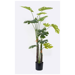 Διακοσμητικό Φυτό σε Γλάστρα Deliciosa i Inart Πράσινο Φ90x160εκ