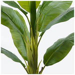 Διακοσμητικό Φυτό σε Γλάστρα Banono Inart Πράσινο Φ95x160εκ