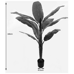 Διακοσμητικό Φυτό σε Γλάστρα Banono Inart Πράσινο Φ95x160εκ