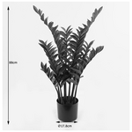 Διακοσμητικό Φυτό σε Γλάστρα Zamia Inart Πράσινο Φ52x88εκ