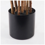 Διακοσμητικό Φυτό σε Γλάστρα Olia Inart Πράσινο Φ52x120εκ