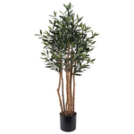 Διακοσμητικό Φυτό σε Γλάστρα Olia Inart Πράσινο Φ52x120εκ