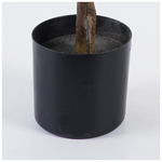 Διακοσμητικό Φυτό σε Γλάστρα Ficus Lyrata Inart Πράσινο Φ70x130εκ