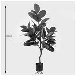 Διακοσμητικό Φυτό σε Γλάστρα Ficus Lyrata Inart Πράσινο Φ70x130εκ