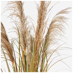 Διακοσμητικό Φυτό σε Γλάστρα Bulrush Inart  Φ65x120εκ