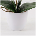 Διακοσμητικό Φυτό σε Γλάστρα Οrchid Beauty Inart 30x13x46εκ