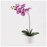 Διακοσμητικό Φυτό σε Γλάστρα Οrchid Beauty Inart 30x13x46εκ