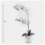 Διακοσμητικό Φυτό σε Γλάστρα Οrchid White Inart 36x17x65εκ