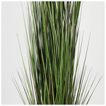 Διακοσμητικό Φυτό σε Γλάστρα Βoxwood Inart Πράσινο Φ46x150εκ