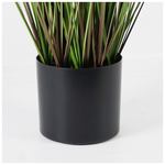 Διακοσμητικό Φυτό σε Γλάστρα Βoxwood Inart Πράσινο Φ46x150εκ