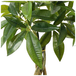 Διακοσμητικό Φυτό σε Γλάστρα Pachira Inart Πράσινο Φ40x60εκ