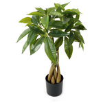 Διακοσμητικό Φυτό σε Γλάστρα Pachira Inart Πράσινο Φ40x60εκ