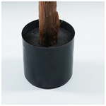 Διακοσμητικό Φυτό σε Γλάστρα Musa Inart Πράσινο Φ105x180εκ