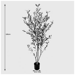 Διακοσμητικό Φυτό σε Γλάστρα Olia Inart Πράσινο 65x55x180εκ