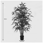 Διακοσμητικό Φυτό σε Γλάστρα Rhapis Palm Inart Πράσινο Φ80x180εκ