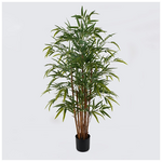 Διακοσμητικό Φυτό σε Γλάστρα Rhapis Palm Inart Πράσινο Φ80x180εκ