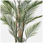 Διακοσμητικό Φυτό σε Γλάστρα Kwai Inart Πράσινο Φ92x150εκ