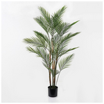 Διακοσμητικό Φυτό σε Γλάστρα Kwai Inart Πράσινο Φ92x150εκ