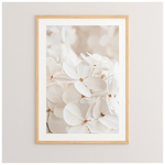 Πίνακας Belo Pakoworld με Ψηφιακή Εκτύπωση και Πλαίσιο 33x1.5x48εκ