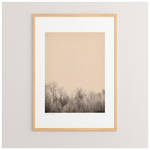 Πίνακας Quany Pakoworld με Ψηφιακή Εκτύπωση και Πλαίσιο 33x1.5x48εκ