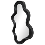 Καθρέπτης Liquid Pakoworld pp σε Μαύρη Απόχρωση 26x2.7x39εκ