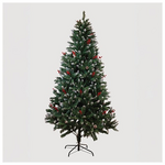 Δεντρο Κεδρος, με Κουκουναρια, 210cm