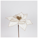 Αλεξανδρινο Ιβουαρ, 30x44cm