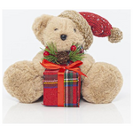 Αρκουδακι με Δωρο, 14x20x15cm