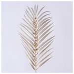 Φτερη, Σαμπανι, με Πετρες, 73cm