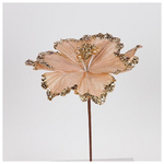 Μανολια Σομον με Σαμπανι Λεπτομερειες, 26x45cm