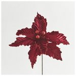 Αλεξανδρινο, Μπορντο, 32cm