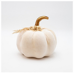 Βελουδινη Κολοκυθα, Υπολευκη, με Λουλουδακια, 16x20cm