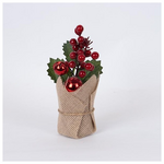 Display Box, Γλαστρακι με Κοκκινη Μπαλιτσα και Κοκκινα Berries, 12tmx, 20cm