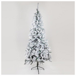 Δεντρο Ελατο Χιονισμενο, Σκωτια, 240cm