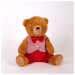 Αρκουδακι με ροζ Καρο Γιλεκο, Καθιστο, 29cm