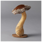 Βελουδινο Μανιταρι, Καφε, με Γκλιτερ, 14x14x22cm