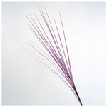 Κλαδι, Λιλα Μεταλιζε, 80cm