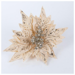 Αλεξανδρινο, Σαμπανι, 25cm