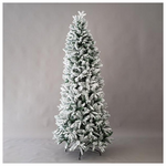 Ελατο Jersey, Χιονισμενο, 180cm