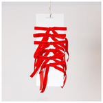 Μικροι Φιογκοι Βελουδινοι Κοκκινοι, σετ 6τμχ, 13x19cm