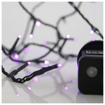 Σειρα, 100 led 3mm, 31v, 8 Προγραμματα,μετασχηματιστη με Μνημη, Προεκταση Παροχης 300cm, Πρασινο Καλωδιο, μωβ Led, ανα 5cm, Ιρ44