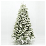 Δεντρο Ολυμπος, 180cm