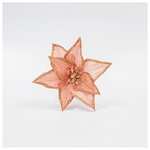 Λιλιουμ, Σομον, 26x18cm