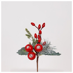 Πικακι με Κοκκινα Cranberries, 20cm