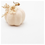 Βελουδινη Κολοκυθα, Υπολευκη, με Λουλουδακια, 8x8cm