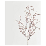 Κλαδι, με ροζ Περλες, 72cm