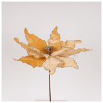 Λουλουδι, Grande, Σαμπανι, 44x50cm