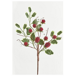 Κλαδι, με Κοκκινα Βατομουρα, 37cm